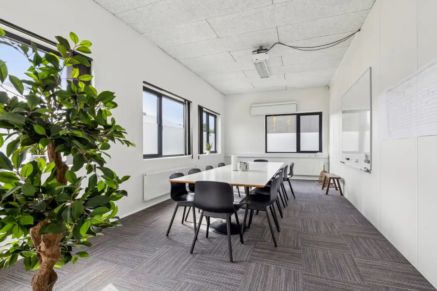 Moderne konferencelokale med lysevinduer, hvide vægge og gulve samt en stor grøn plante og et langt bord med stole