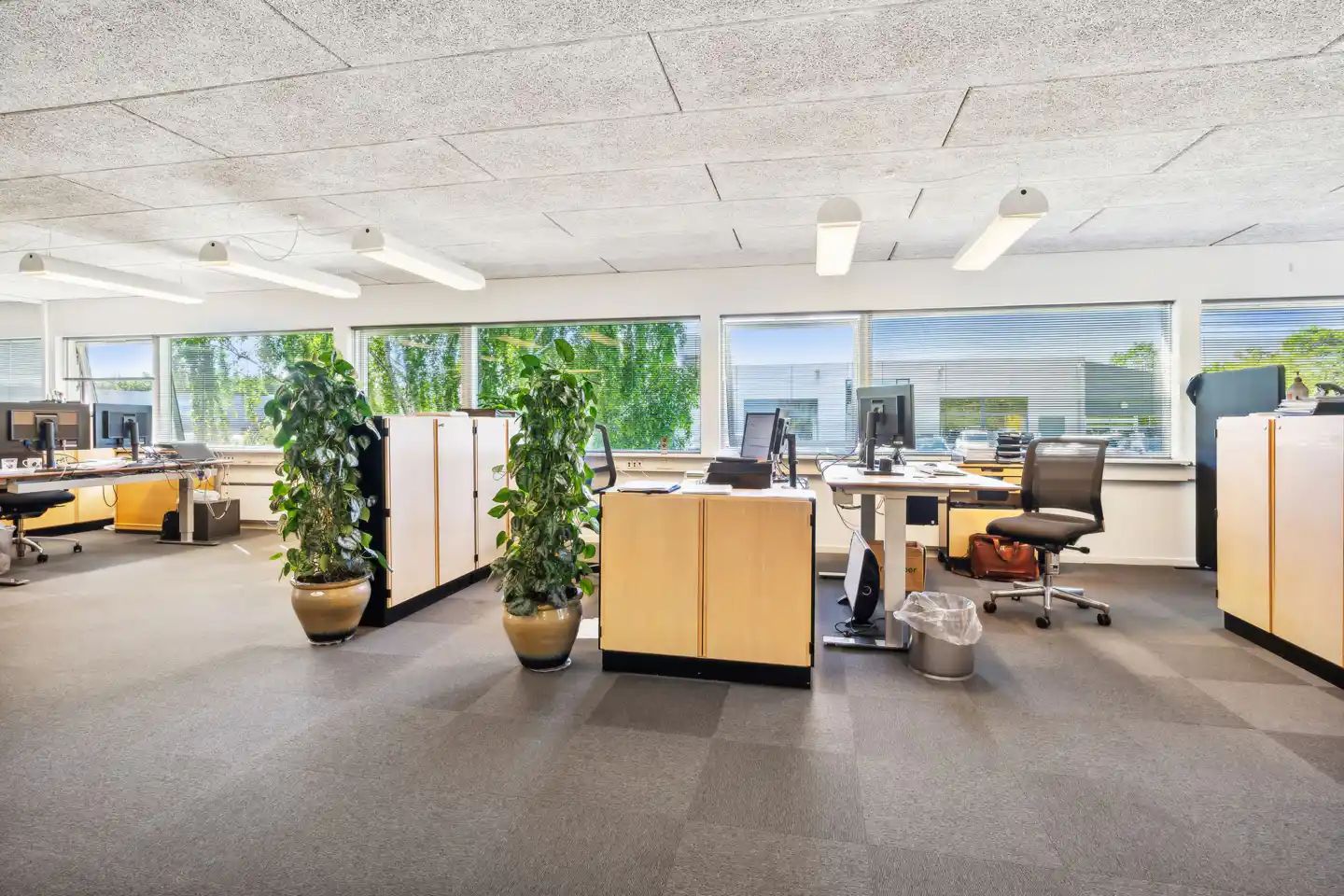 Et tomt kontor med fire store vinduer, fire skriveborde, hver med computer og telefon og en stol. To store plantepoter med