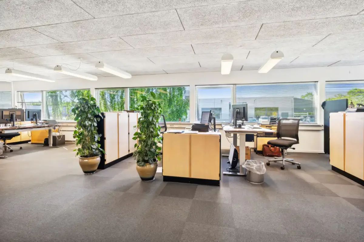 Et tomt kontor med fire store vinduer, fire skriveborde, hver med computer og telefon og en stol. To store plantepoter med