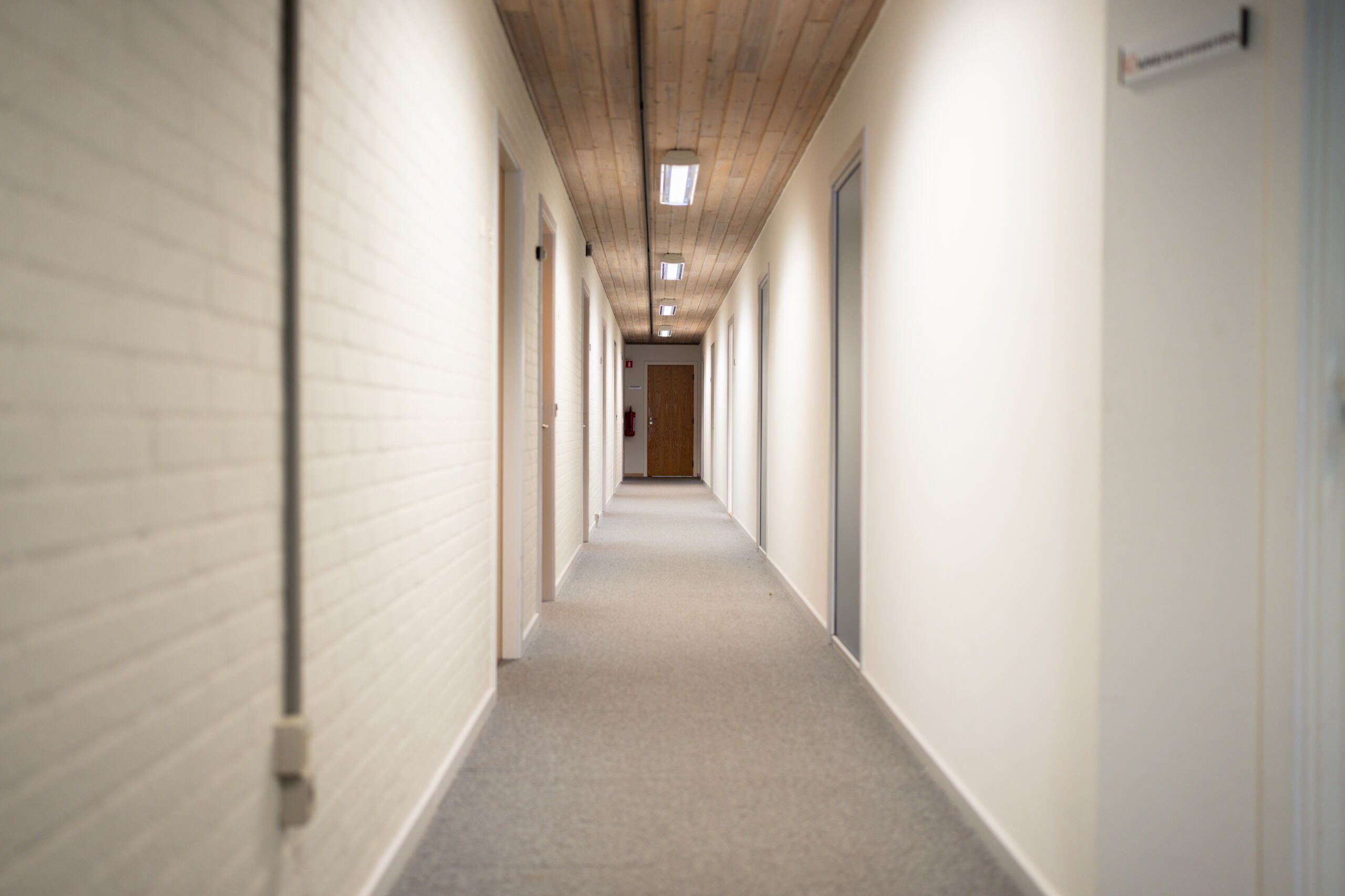 Kort og lydisoleret korridor med hvide vægge og mønstret loft i lysebrunt træ, der giver lysekrone med hvide glaskuppel