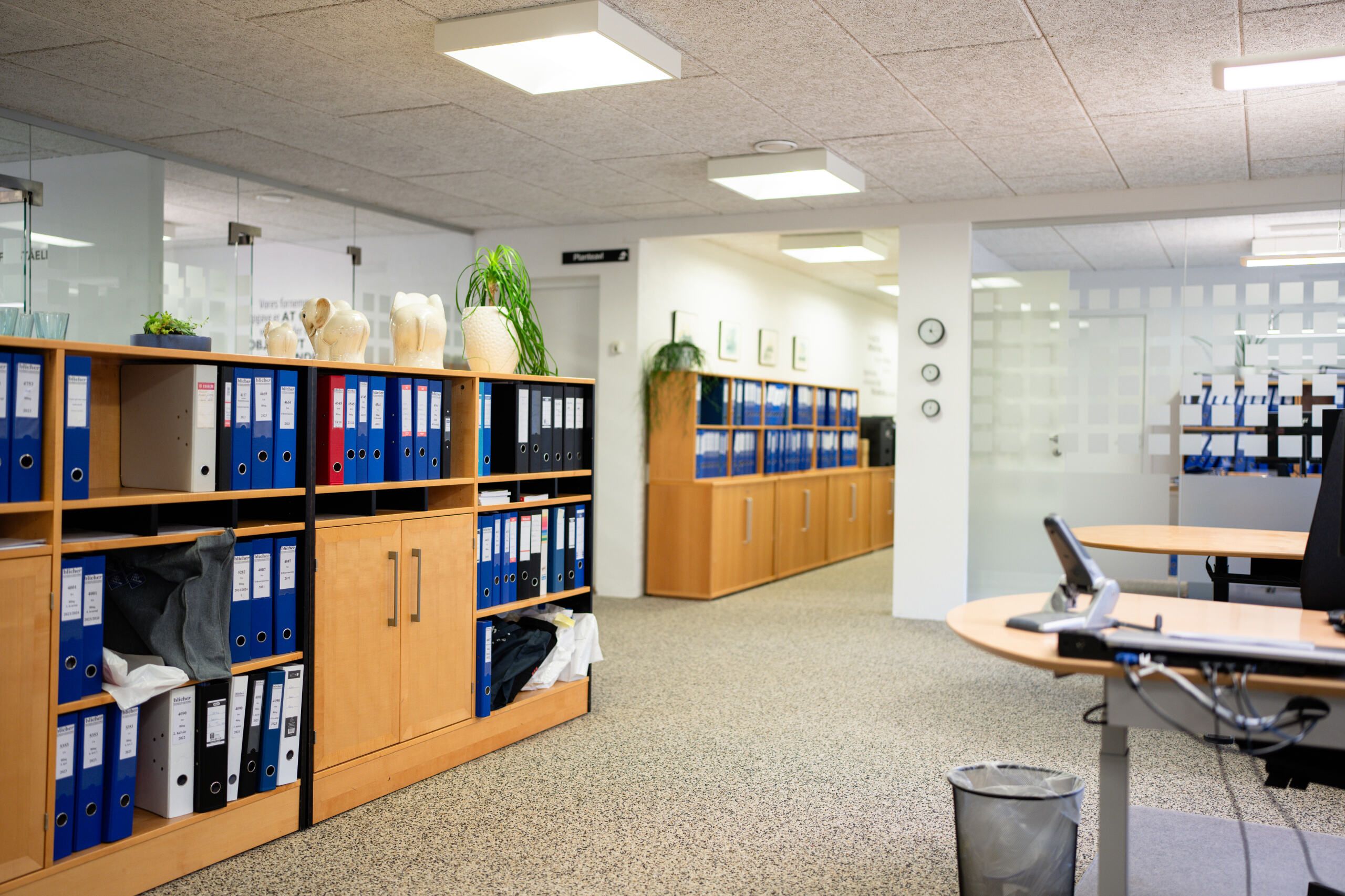 Kontor med lyse lofter, stolpe og papirskuffer, skraldkurv, skrivebord, computer og stol med plante på gulv