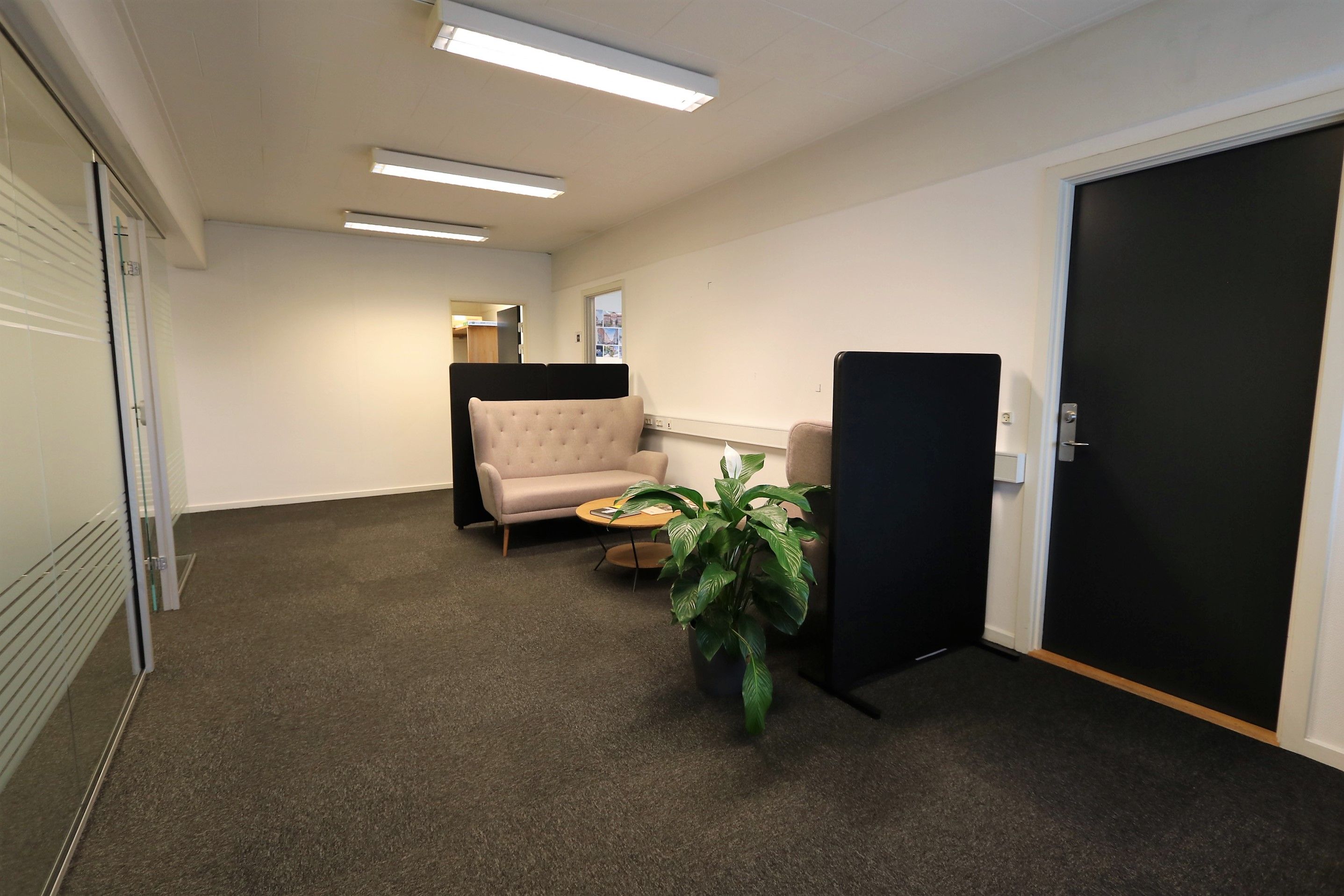 Kontorlokale med beige sofa, plante, træbord og mørk dør med sølvfarvet håndtag. Væggene er hvide og gulvet er mørkegråt.