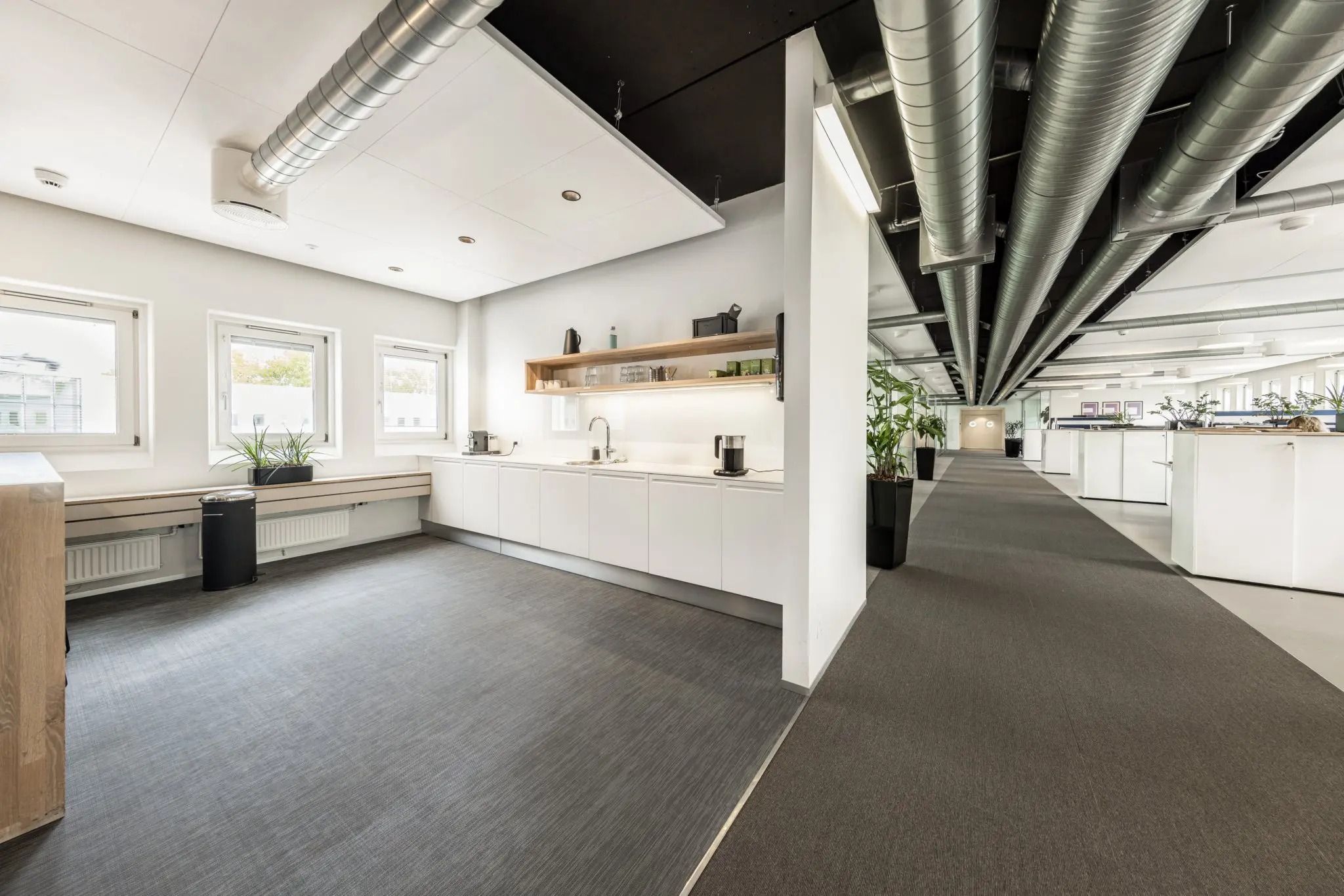 Et moderne kontor med hvide vægge og loft, gulvtæppe og højt loft med metalrør. Mange vinduer og et køkken med både en