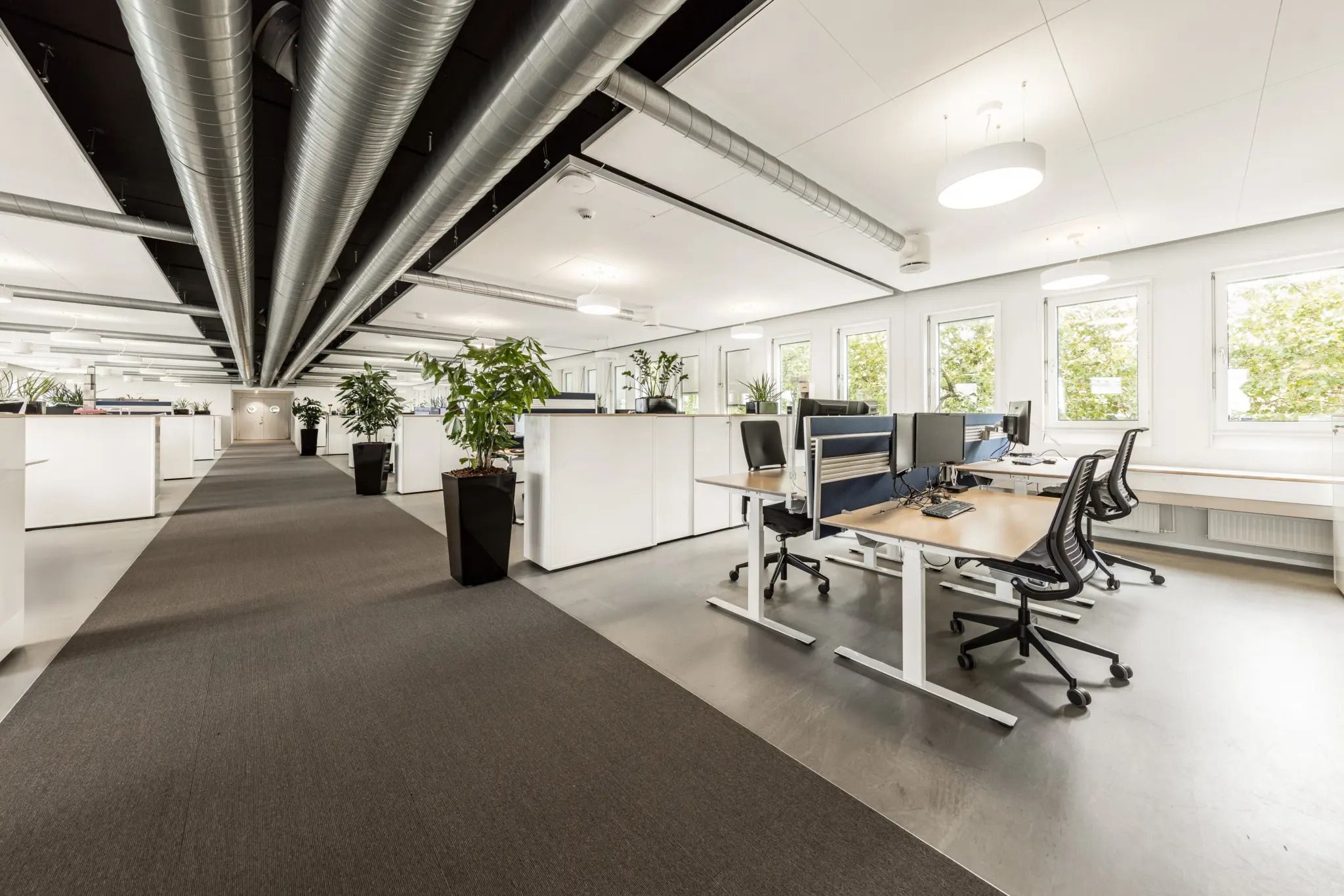 Moderne og minimalistisk kontor med højt loft og store vinduer. Væggene er hvide, og der er lysegule gulve og høje hvide