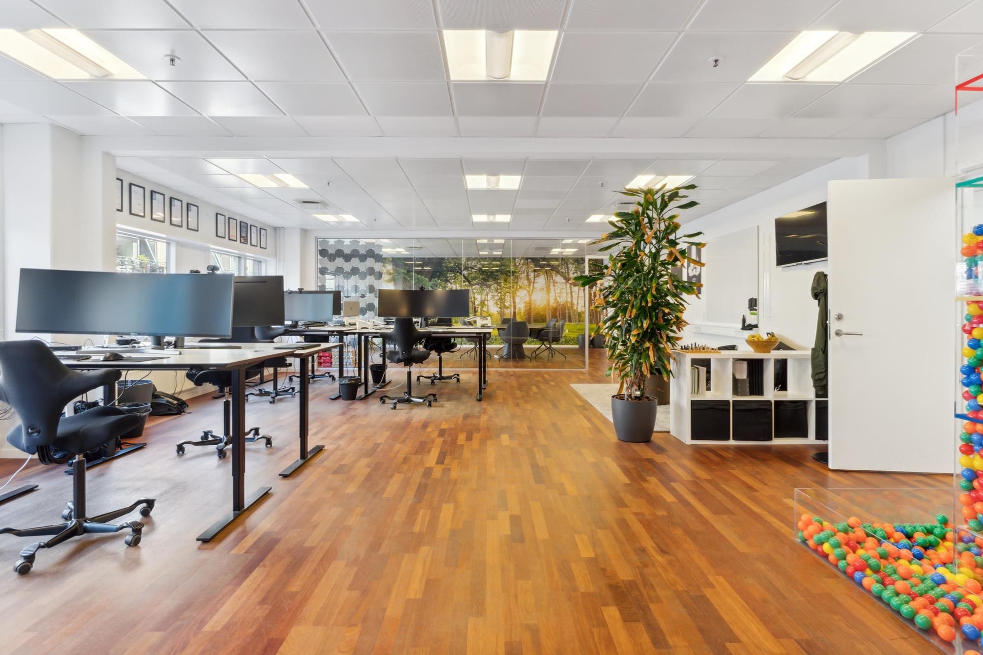 Kontor med højt loft, trægulv, skriveborde, stolene, computere, indretning med plante, kugler, lysekroner, og udsigt til