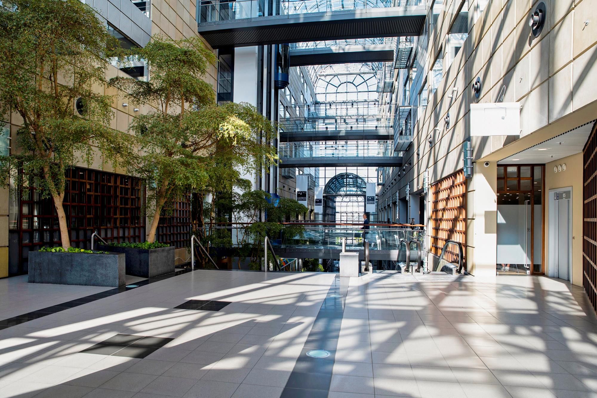 Kontor med store træer og glaslofter, gulvtæppe og lyse skygger, højtloftede gange med stiger og højdeforskelle