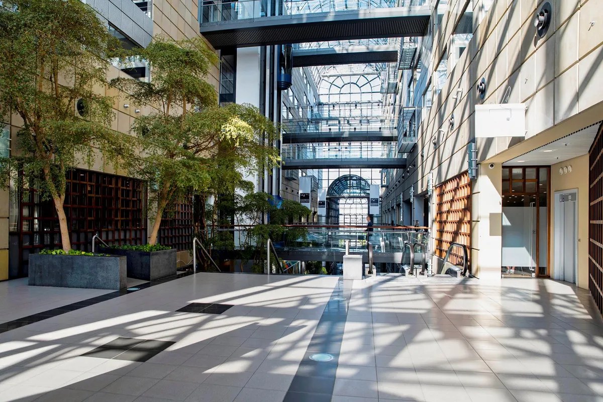 Kontor med store træer og glaslofter, gulvtæppe og lyse skygger, højtloftede gange med stiger og højdeforskelle
