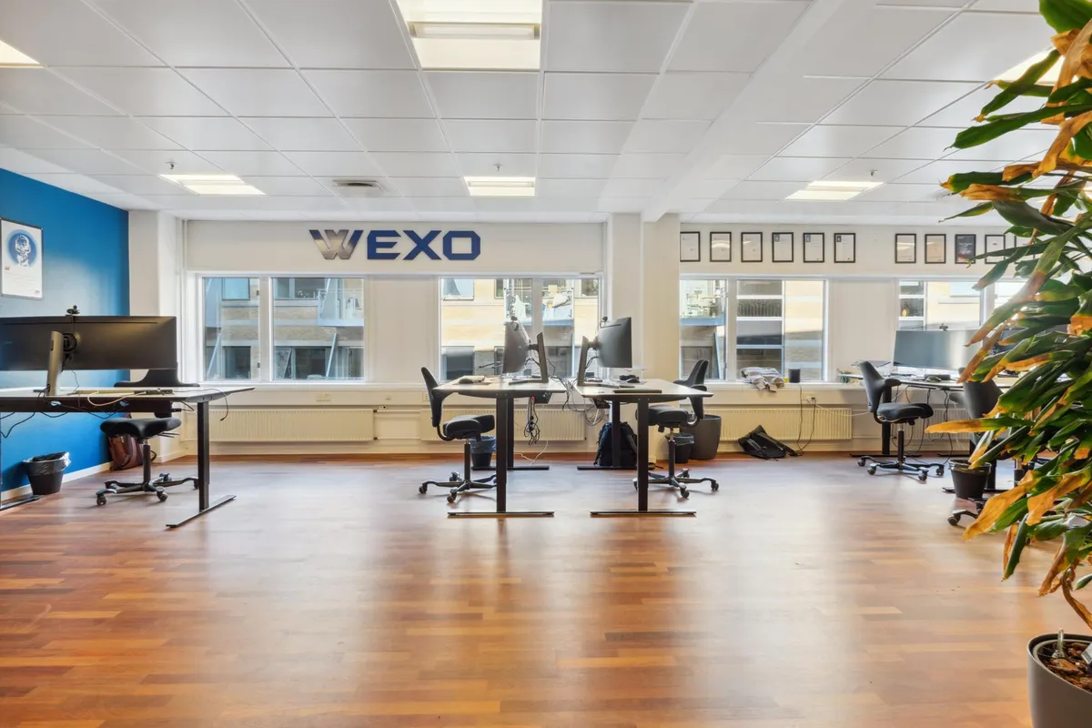 Kontorrum med skriveborde, computere og plante i en åben, vellyst kontor. Væggen er blå, og der er et stort vindue med