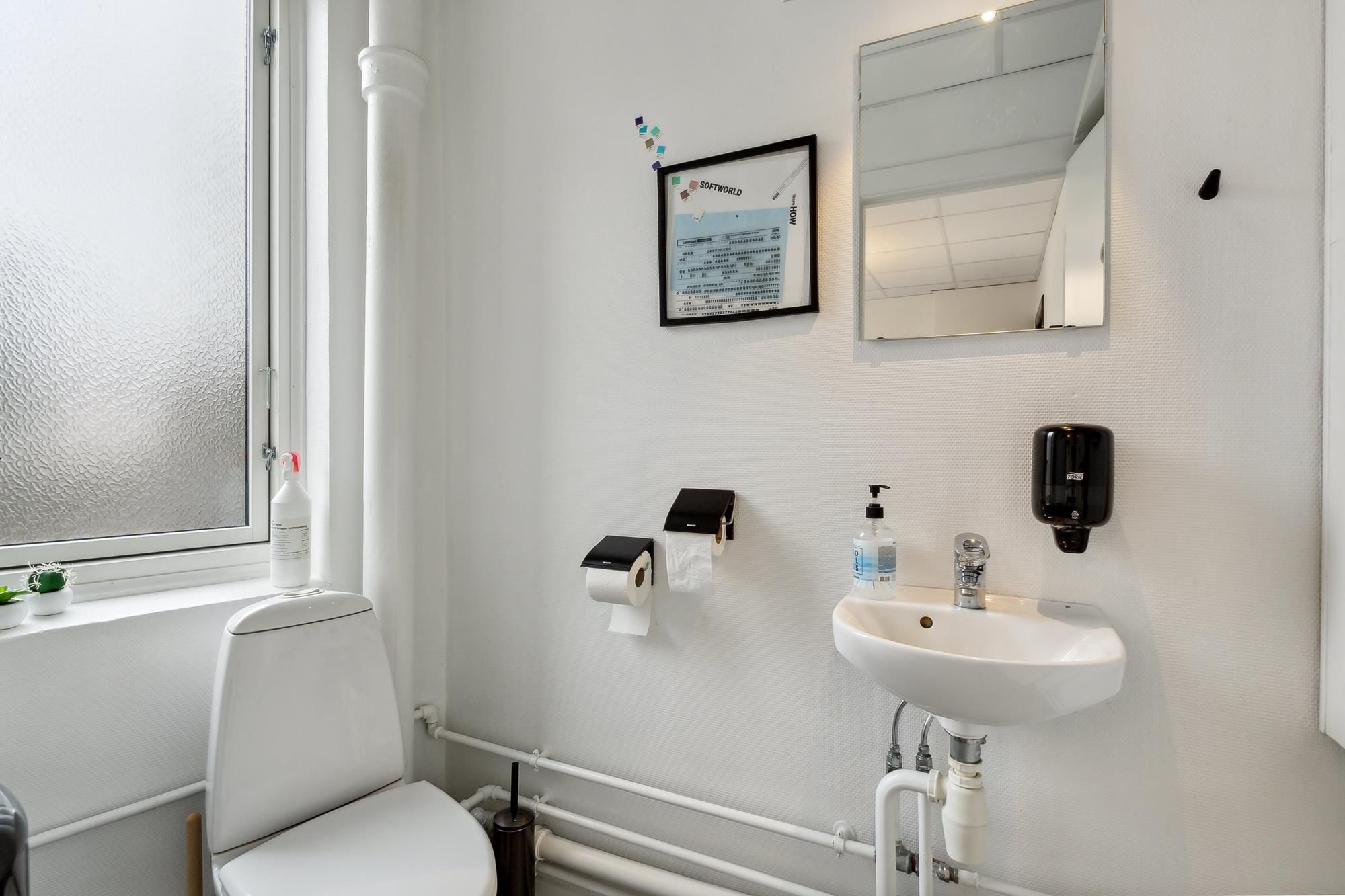 Hvidt badeværelse med toilet, håndvask, spejl, vinduesviske og blomsterpotter samt toiletpapirholder og sæbeautomat på væggen