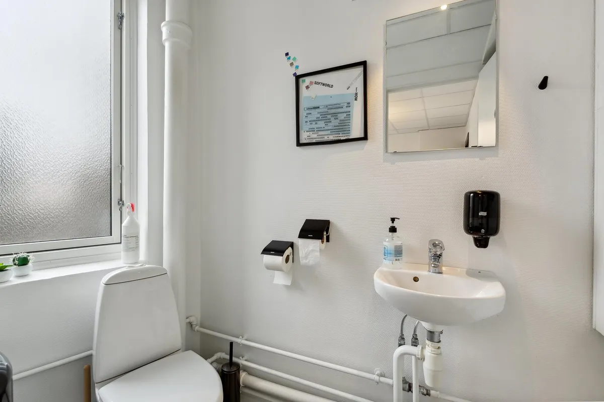 Hvidt badeværelse med toilet, håndvask, spejl, vinduesviske og blomsterpotter samt toiletpapirholder og sæbeautomat på væggen