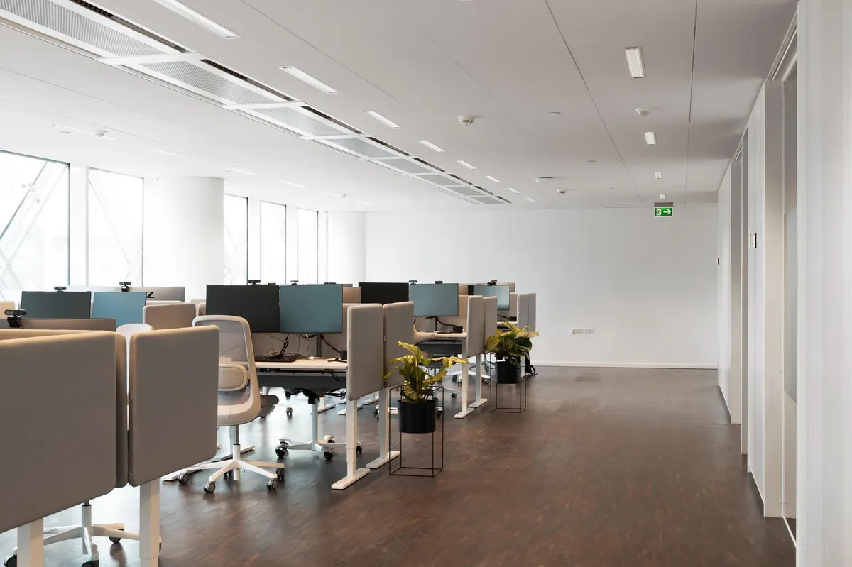 Kontorlokaler med moderne design, høje vinduer, lysegulve og grønne planter i lysepotte.