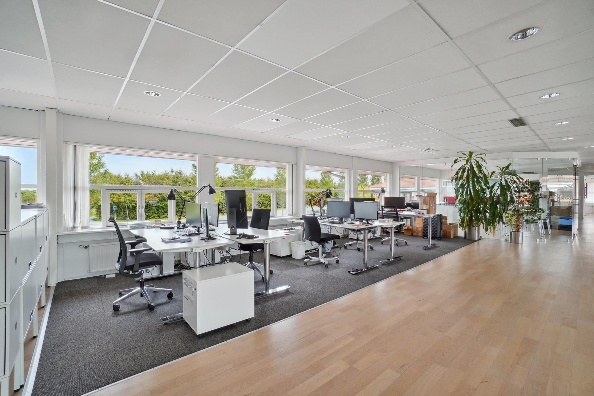 Moderne og flot erhvervspark med lyse kontorer, computere og møbler samt vinduer med udsigt til grønne træer