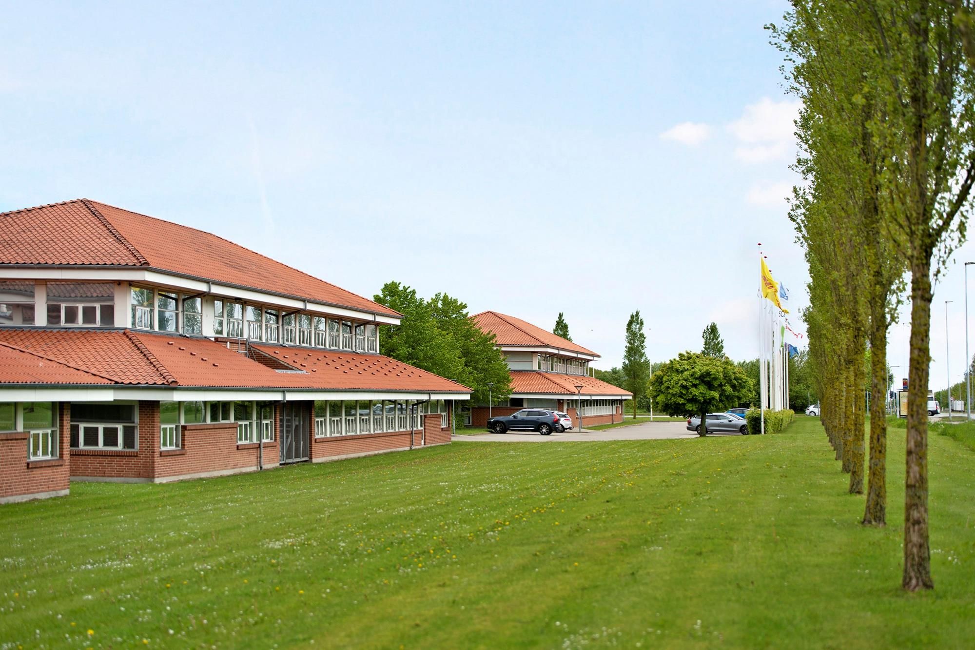 Park med grønne træer og græsplæne med bygninger, flag og parkerede biler.