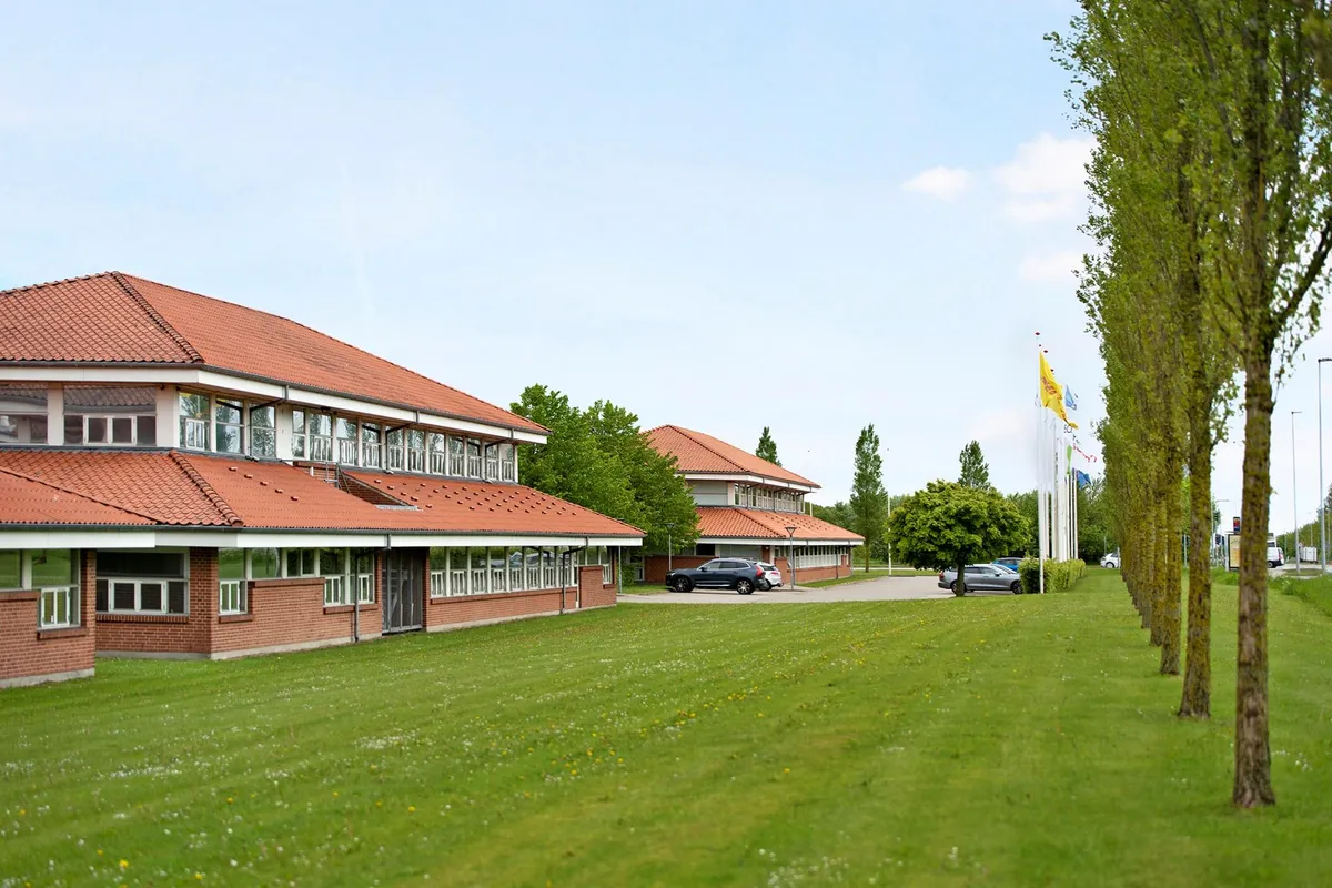 Park med grønne træer og græsplæne med bygninger, flag og parkerede biler.