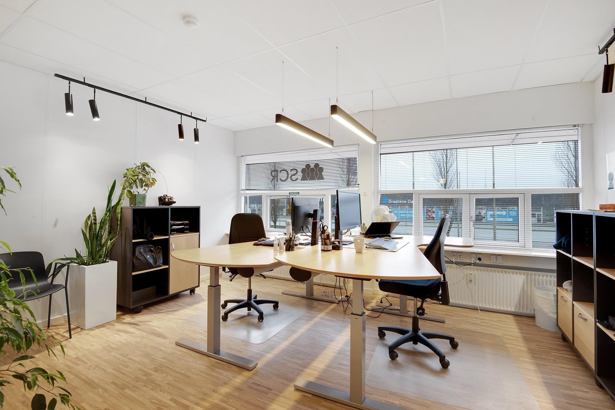 Lyst og modernt kontor med store vinduer og lyse loftslamper -To store skriveborde med ergonomiske stole -Smukke grønne