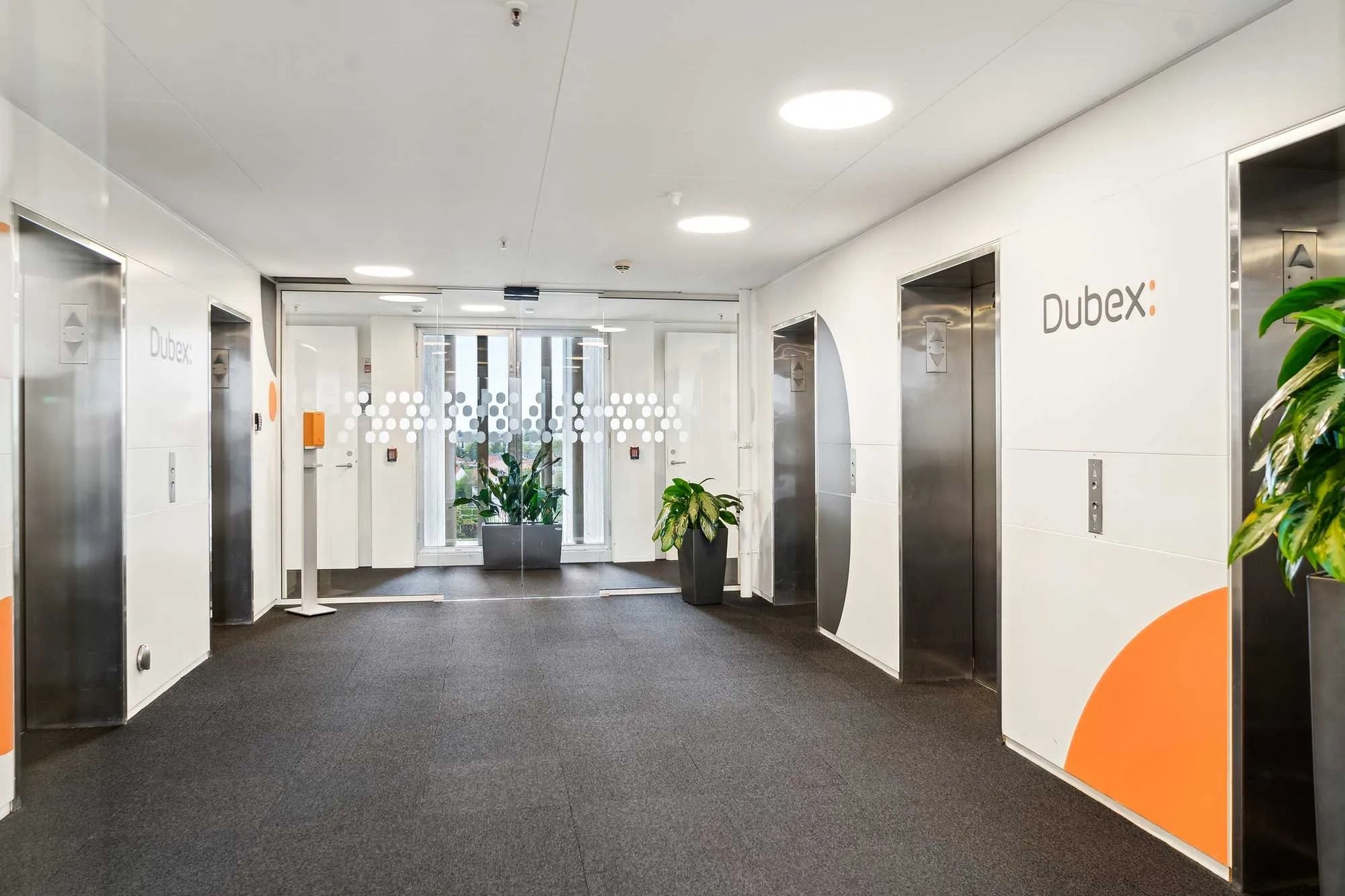 En lys indgangshal med to elevatorer og en dør, der fører til et vinduesområde. Væggene er hvide og der er en stor