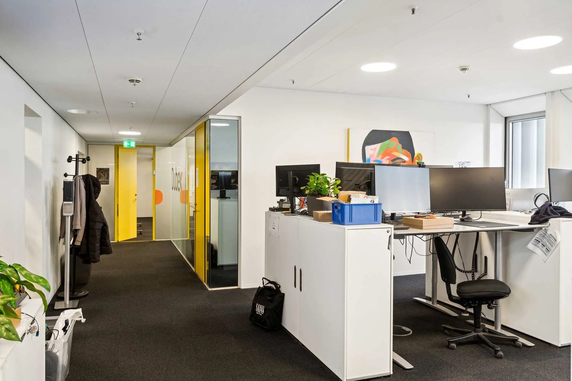 Moderne kontor med højloft, lysekroner og hvide vægge og gulve. Værelser med glasdøre, computere og plante. Gulve med dyb