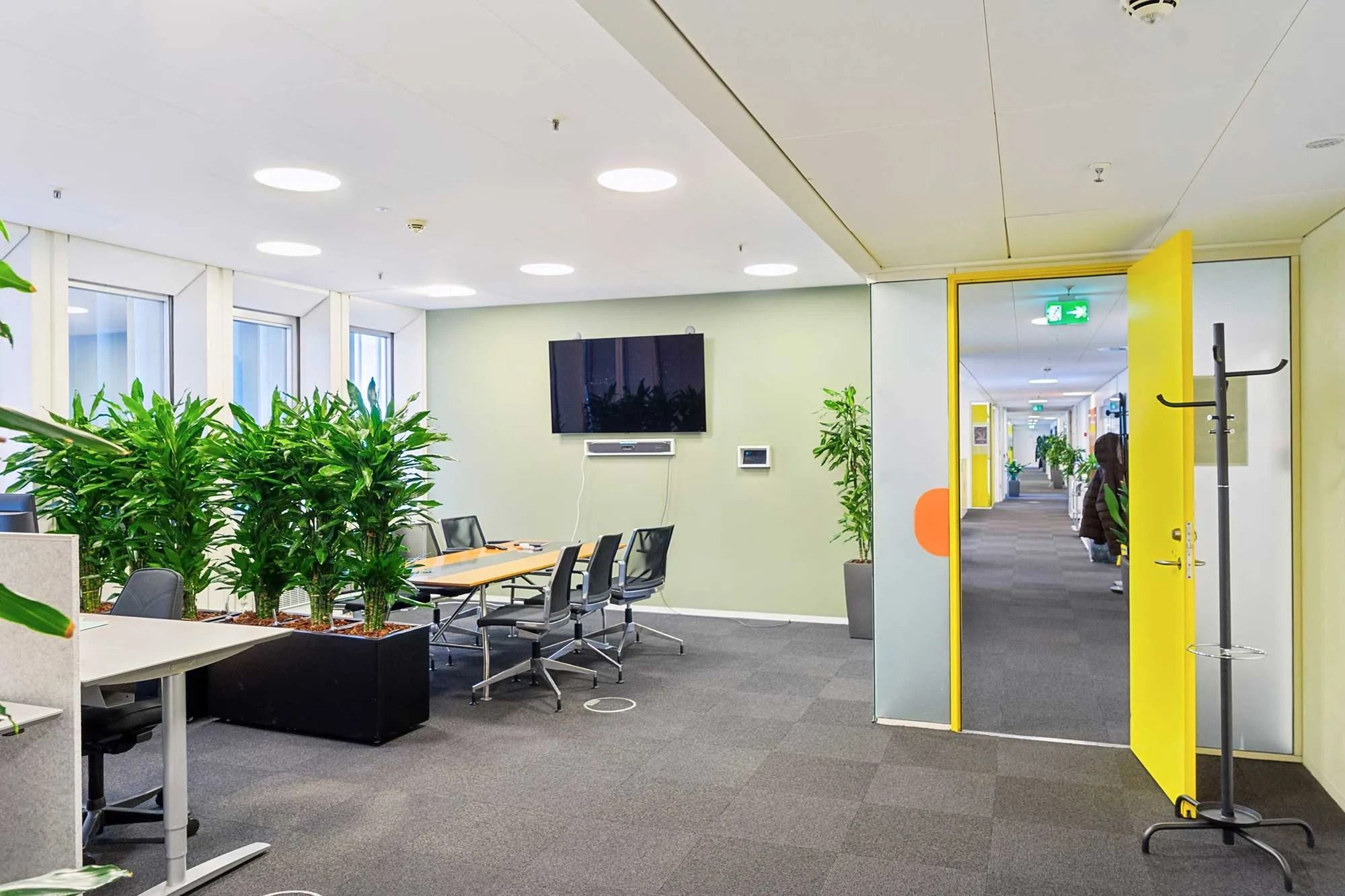 Moderne kontor med store vinduer og indretning med plantegrønt og møbler til konferencer og samarbejde