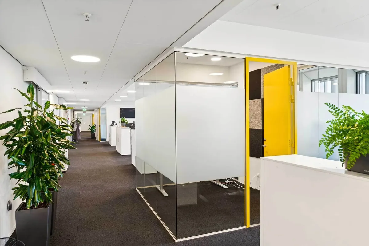 Moderne kontor med en gul dør og lyse gulve samt flere grønne planter og skriveborde