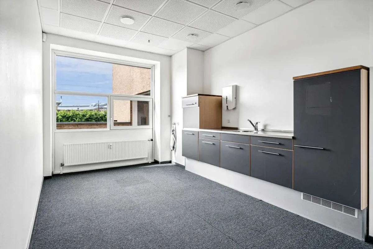 Moderne køkken med højloft, karminrød og grå gulvbelægning, radiator, lyse træskabe, køkkenudstyr og vinduer med udsigt til