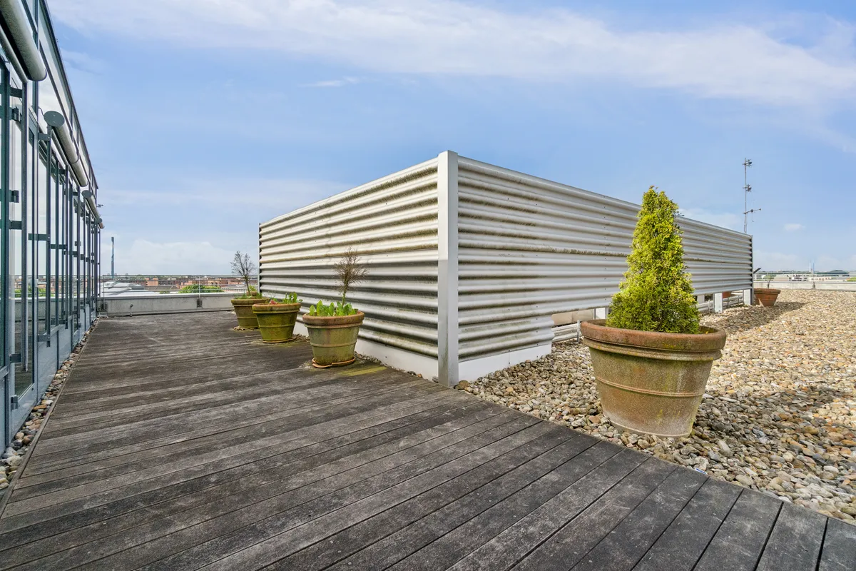 Tagterrasse med lyseblå himmel og grønne planter i store potter og lysegrå stålvægge