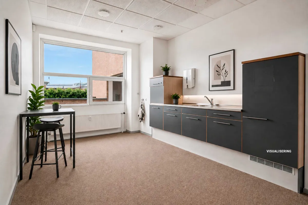 Moderne stue med gulvtæppe, bord med høje stole, plante og radiator under vinduet og køkken med vask og kabinetter.