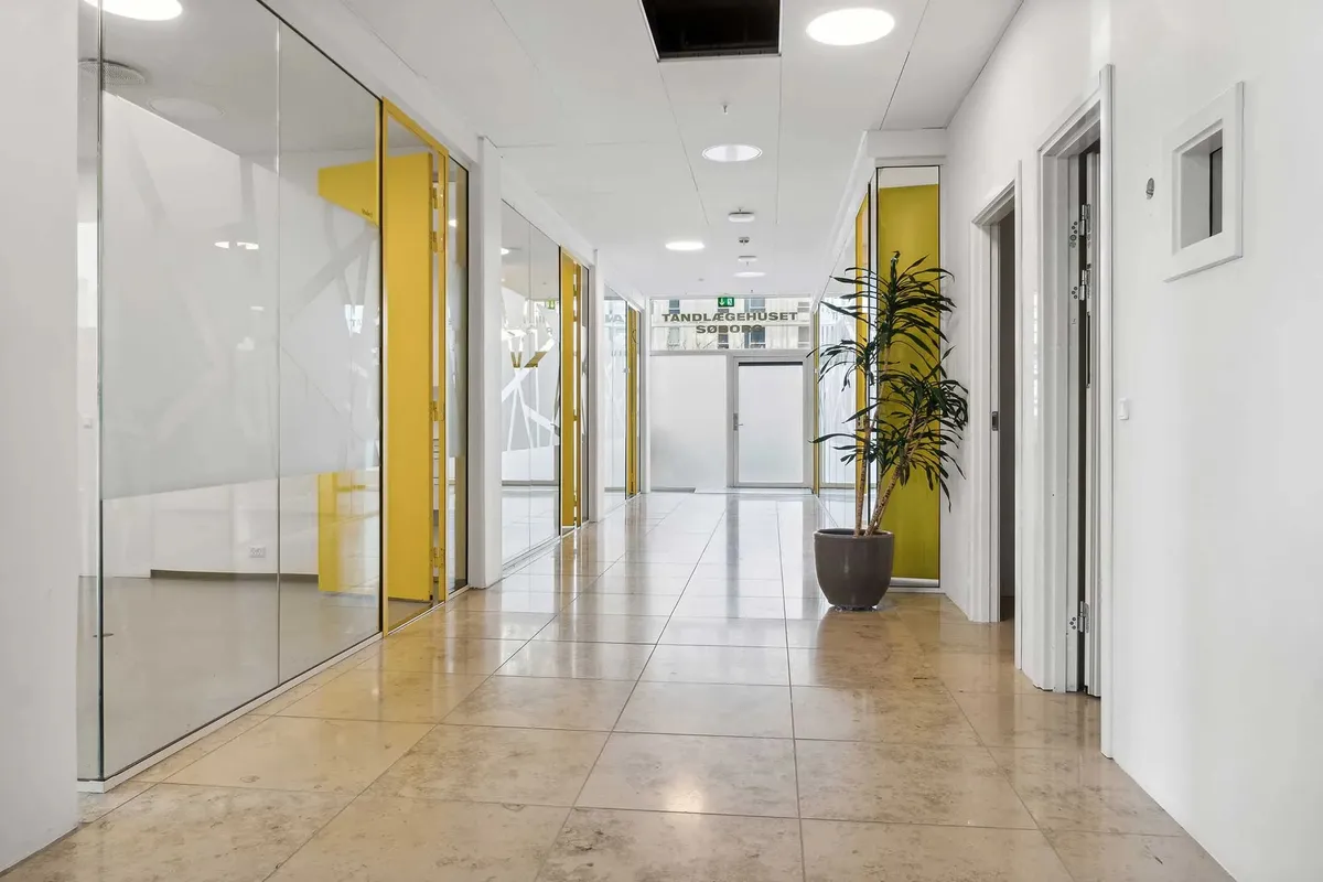 Lang hal med gule døre og glas, gulvtæppe og plante i pot. Lyse loftslampe og døre i centrum og til højre