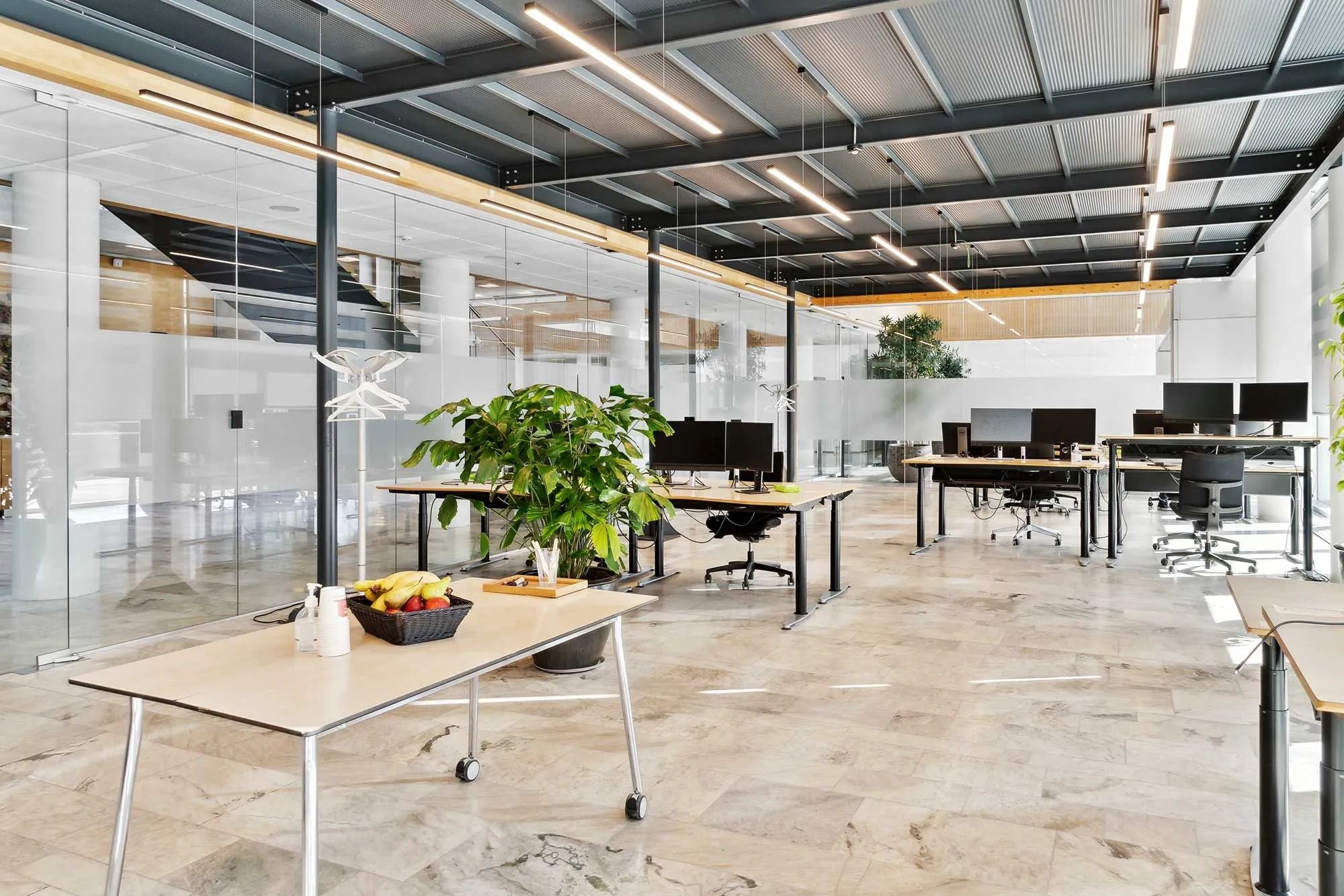 Moderne kontor med højt loft, hvide vægge, marmorgulv, to rækker borde og stole, en stor plante og flere computere