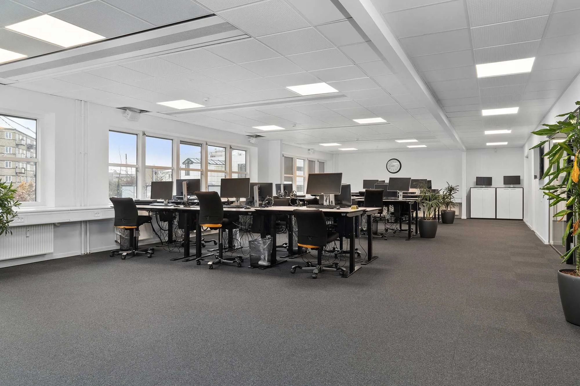 Moderne kontor med lyse lofter, store vinduer, computere, stole og plantager langs væggen og under vinduet