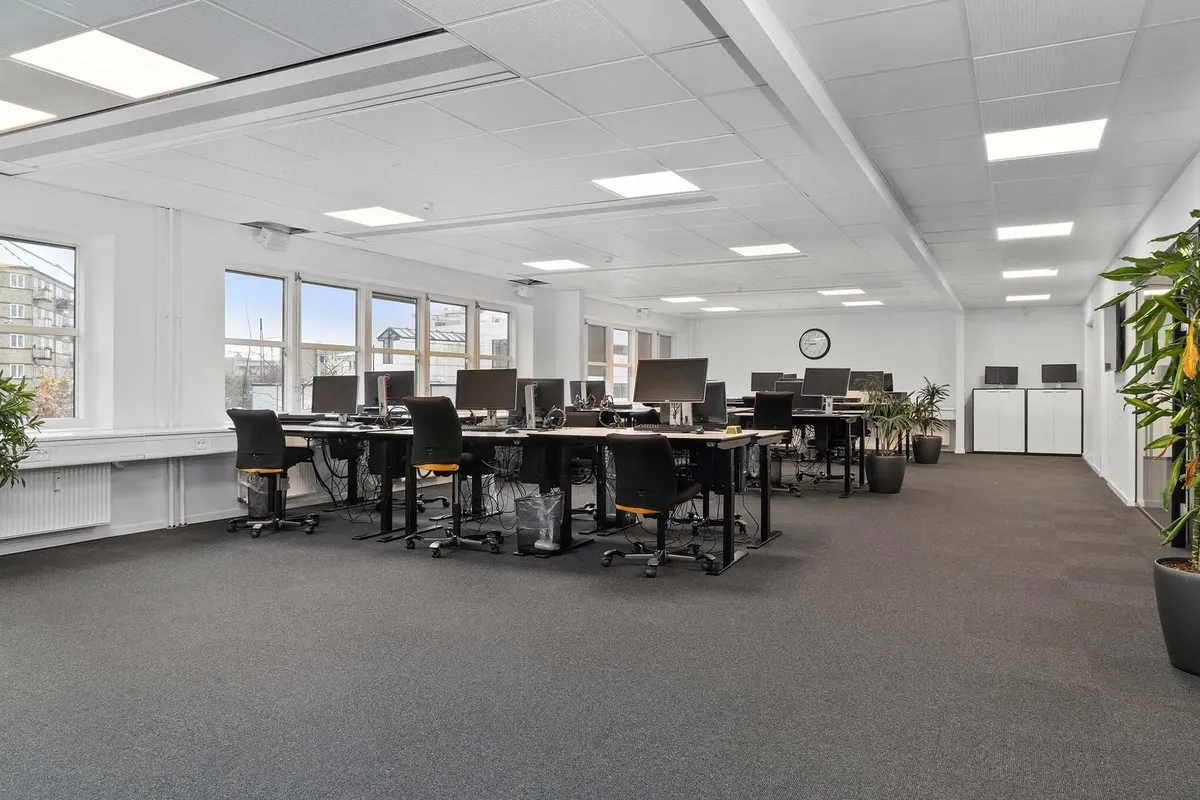 Moderne kontor med lyse lofter, store vinduer, computere, stole og plantager langs væggen og under vinduet