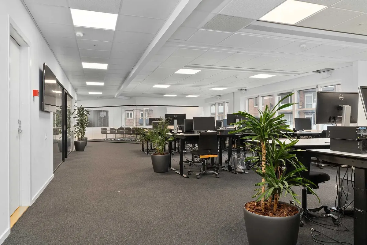Kontor med møbler og computere samt plante i potte og monitorer i baggrunden