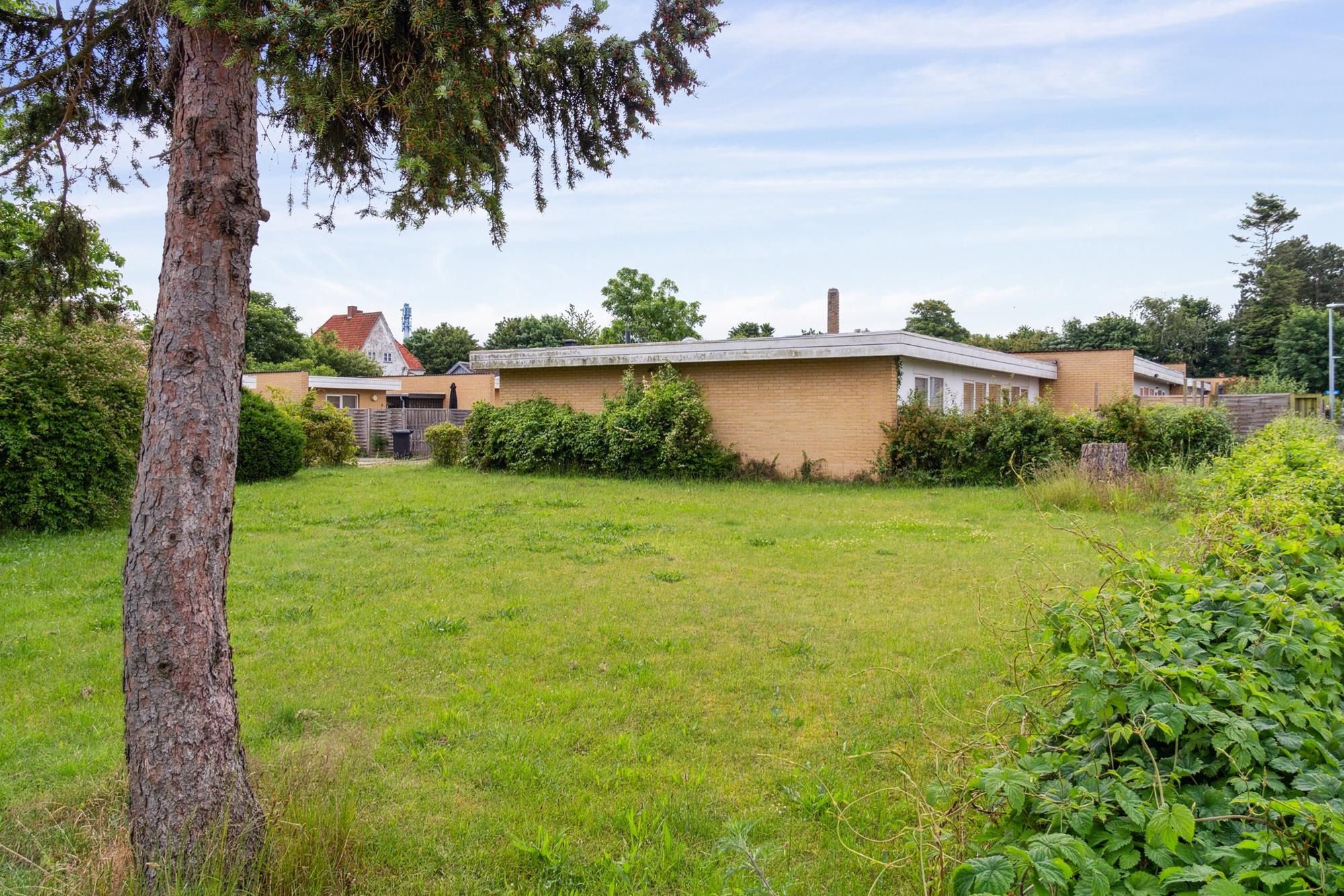 En stor grøn gård med skov, græs og buske og et gult hus med røg fra skorstenen og et hvidt hus i baggrunden