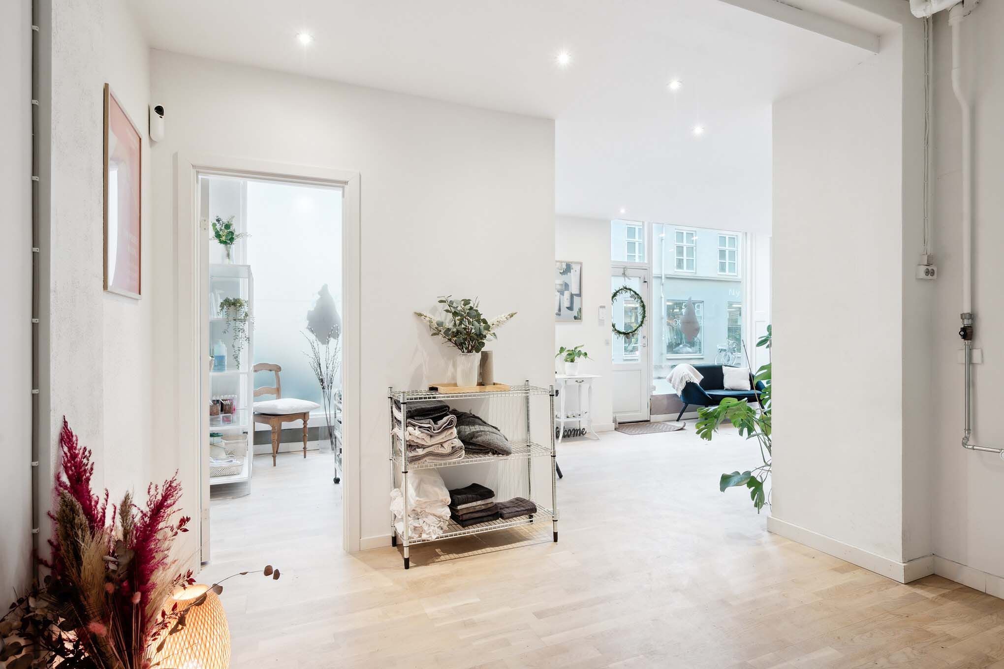 En moderne interiør med hvide vægge og lyse lofter, med en stor plante og en hvid sofa i baggrunden