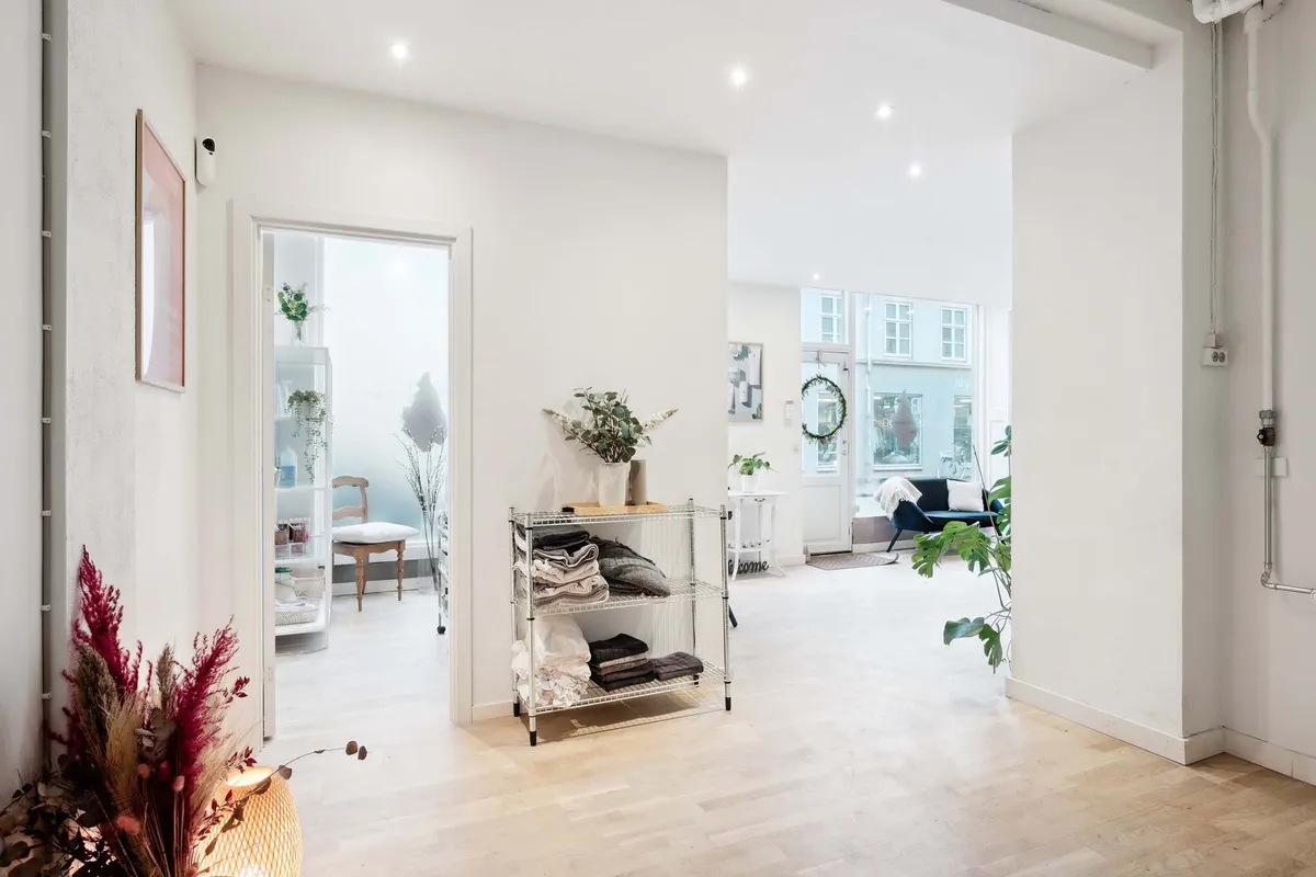 En moderne interiør med hvide vægge og lyse lofter, med en stor plante og en hvid sofa i baggrunden