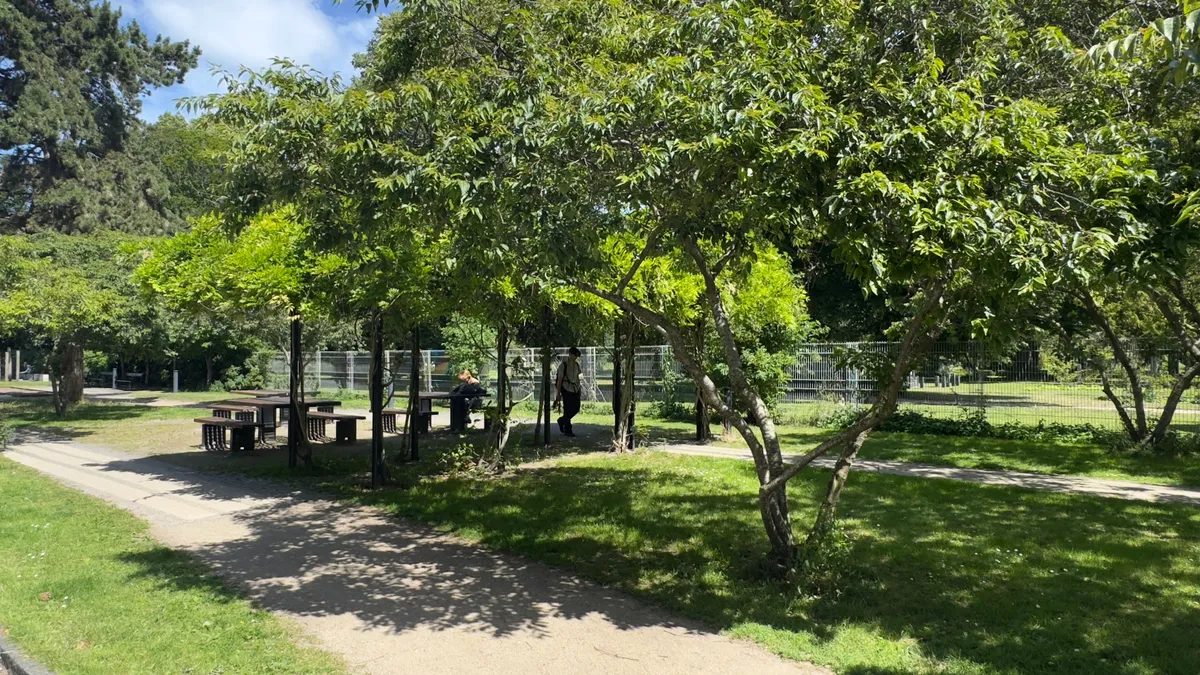 En gruppe mennesker er samlet ved et træ med spiseplads og picnicbord i parken.