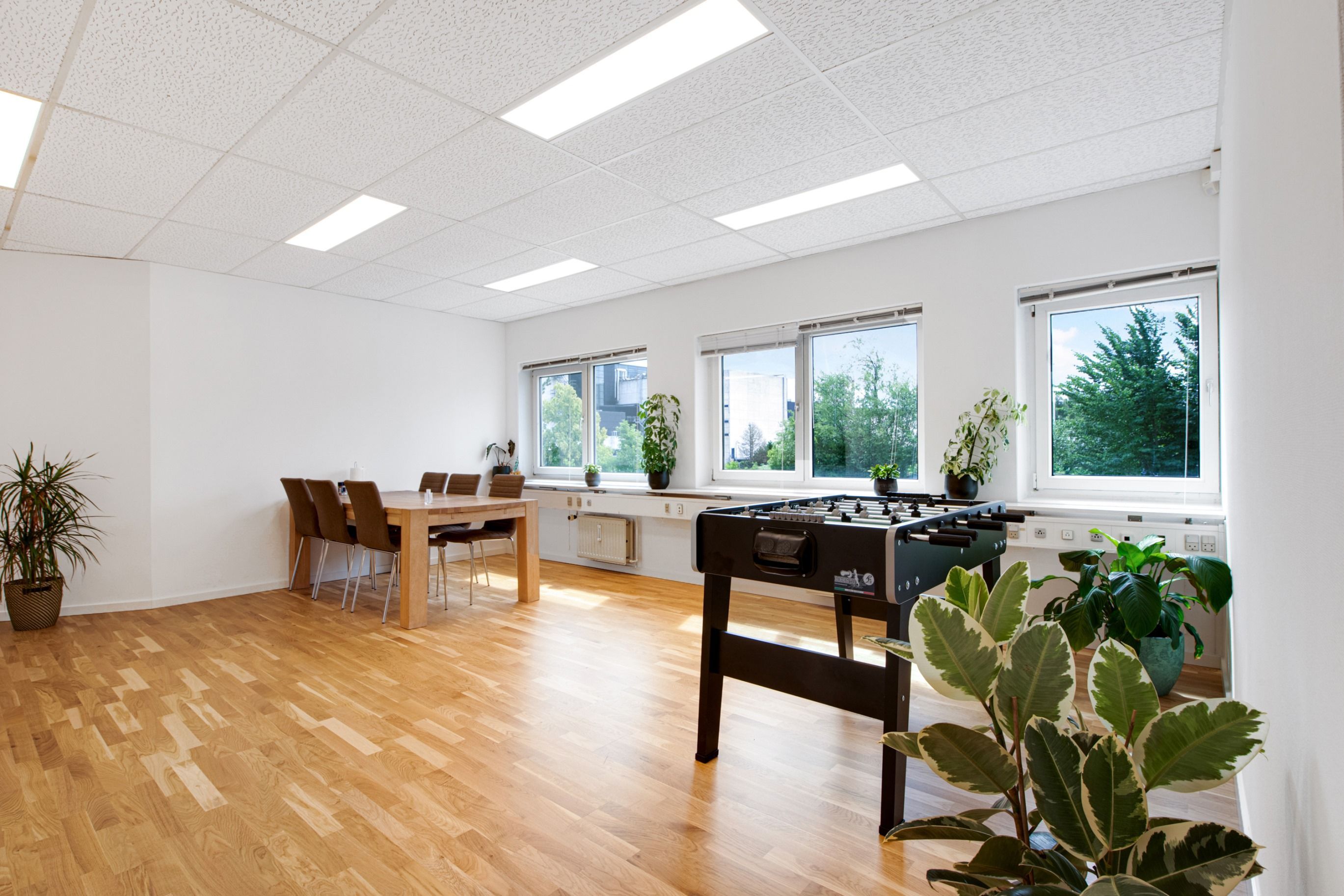 Moderne kontor med lyse loftslamper, trægulv og hvide vægge, møbler inklusiv spiseplads, fodboldbord og plantehygge med