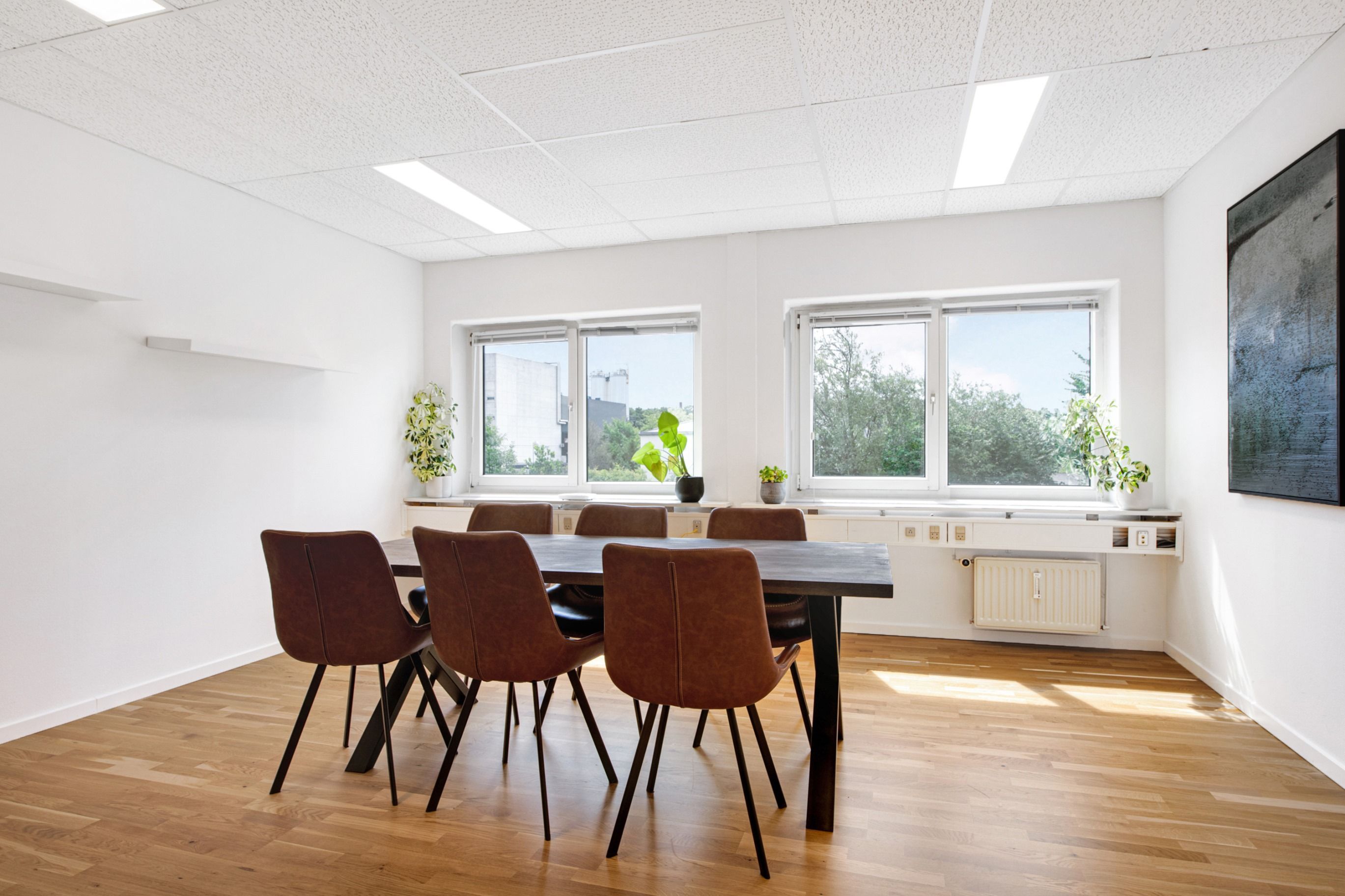 Moderne kontor med en stor bord, brunlæderstole og en væg med et kunstværk og en plante. Værelset har store vinduer og er