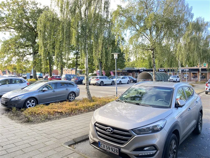 Parkerede biler på gadeparkering, tætte træer og forretninger i baggrunden, solskin og klar himmel