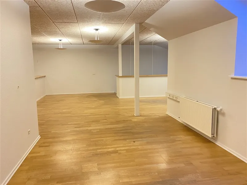 Kortere væg med hvid maler og gulv i træ og to hængende lysekroner samt tørretumbler på væggen