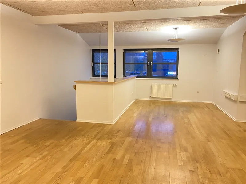 En stor rummelig stue med lyse gulve og hvide vægge og lofter samt en stor hvid radiator mod væggen