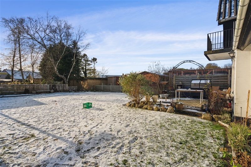 En snemæssig gårdhave med grønne planteskoler og et højt, snoet træ. En træfælde står ved siden af en terrasse og en gul