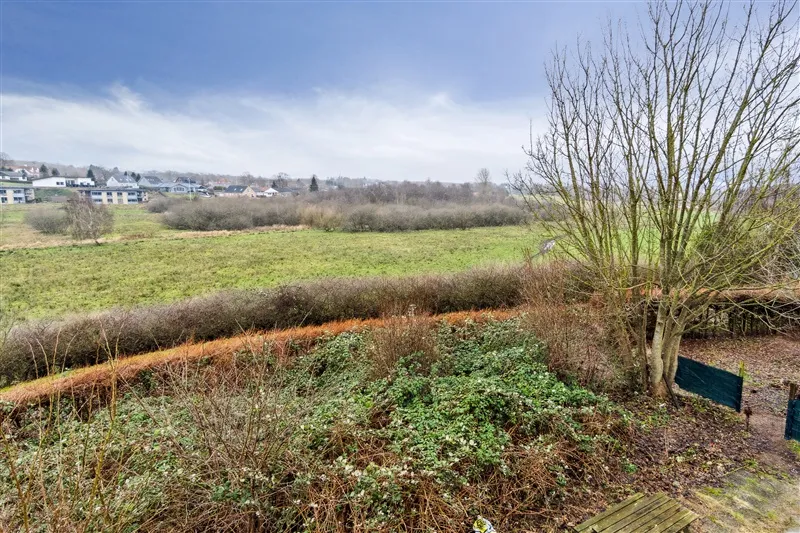 Oversigt over landbrugsområde med grønne marker og buske og bakker i baggrunden, træ med snor og grønt tæppe
