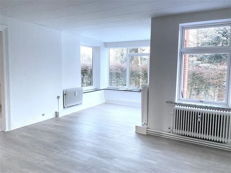 Et tomt værelse med hvide vægge, højt loft, højt vindue og trægulv. Et hvidt radiator står ved højre væg.