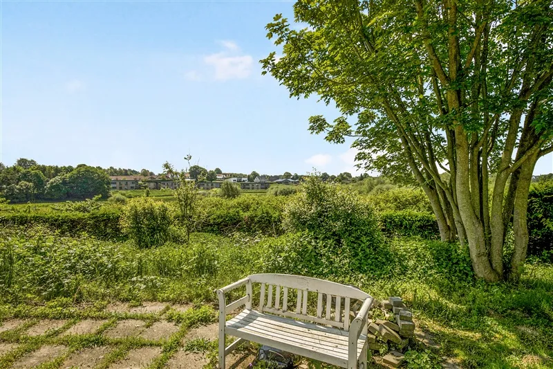 En hvid træbænk står ved en stor træstamme, omgivet af grønne planter og græs i en landlig omgivelse.