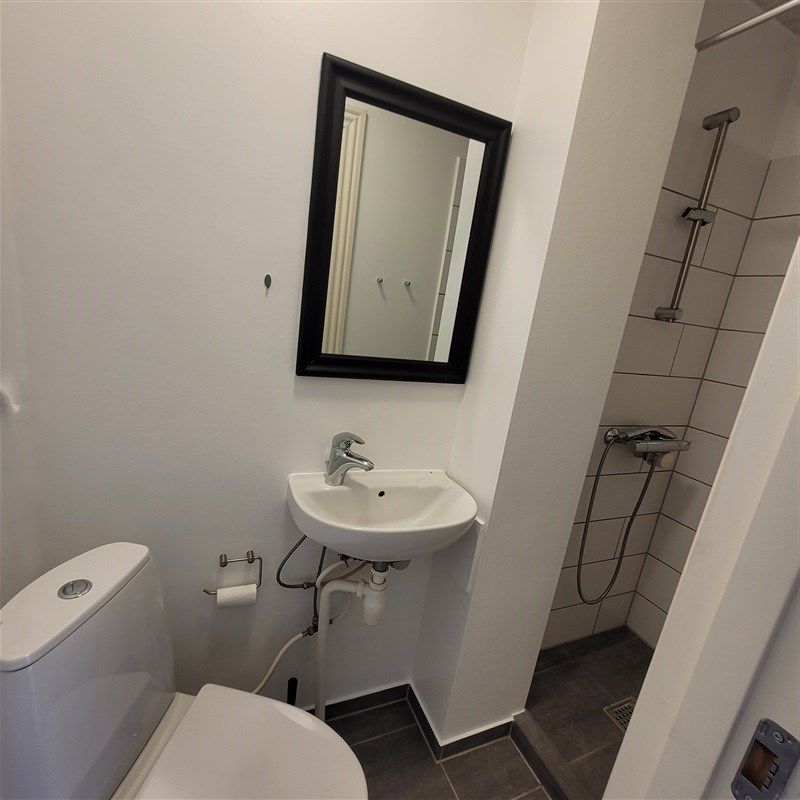 Et lille badeværelse med toilet, hvid vask og spejl samt et bruserbad med håndbruser og hvid flise.