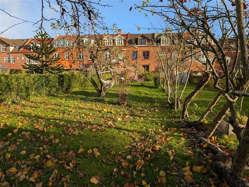 En fredelig park med lysegult græs og løvfældende træer med blade på jorden og en stor rød murstensbygning i baggrunden