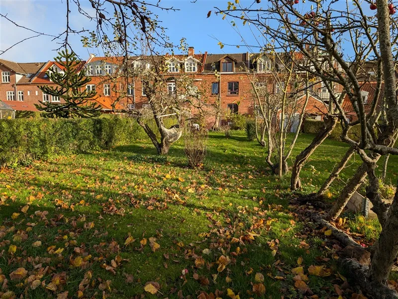 En fredelig park med lysegult græs og løvfældende træer med blade på jorden og en stor rød murstensbygning i baggrunden