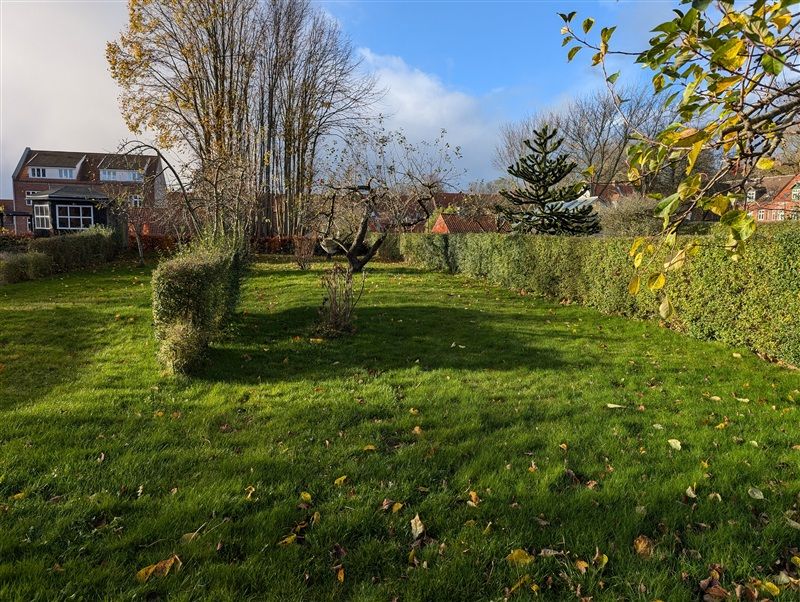 Naturligt grønt græsslet område med buske og træer, hvor gulvet er dækket af nogle løv. En bygning er i baggrunden med et