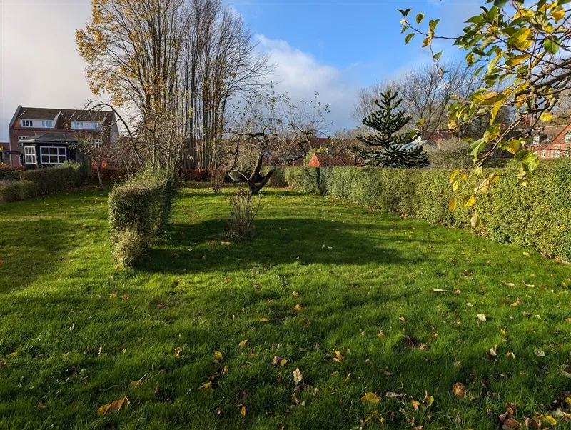 Naturligt grønt græsslet område med buske og træer, hvor gulvet er dækket af nogle løv. En bygning er i baggrunden med et