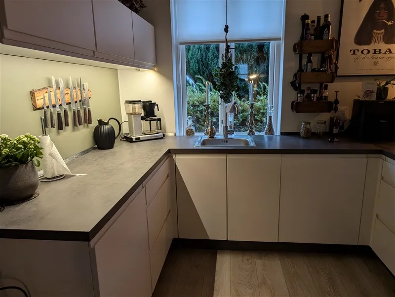 En moderne køkken med hvidt loft, høj vinduesglas, rustfrit stålvask og håndklædeholder samt plante i en jordfarvet vase